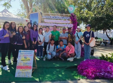 โครงการศึกษาดูงาน ... พารามิเตอร์รูปภาพ 9